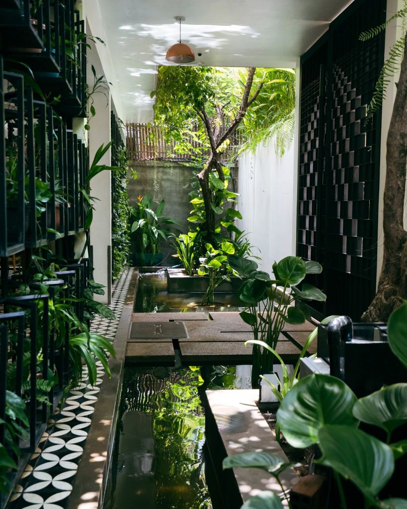 Water corridor with plants