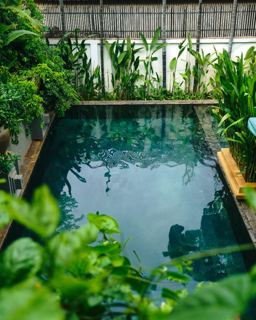 Small pool in tropical garden